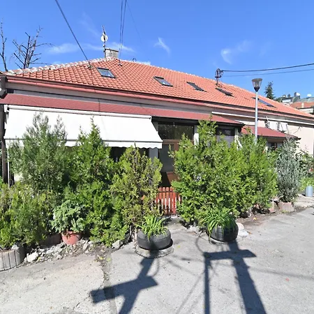 Botanical Hideout - Near Botanical Garden & Center 베오그라드