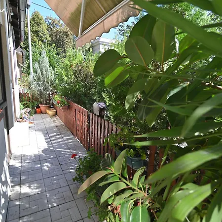 Botanical Hideout - Near Botanical Garden & Center 아파트 베오그라드