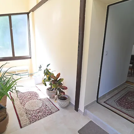 Botanical Hideout - Near Botanical Garden & Center 아파트 베오그라드