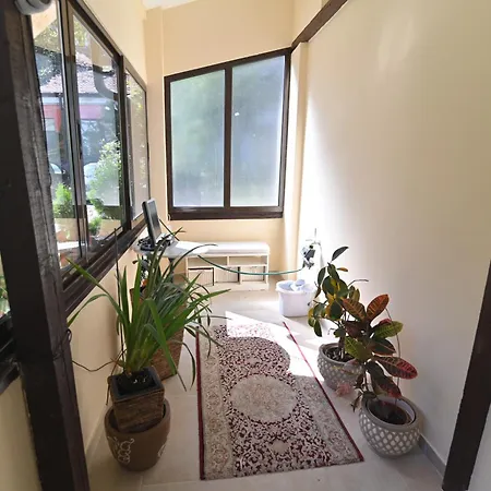 Botanical Hideout - Near Botanical Garden & Center 아파트 베오그라드