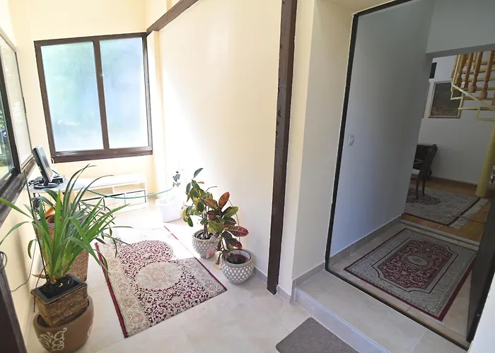 Botanical Hideout - Near Botanical Garden & Center アパート ベオグラード