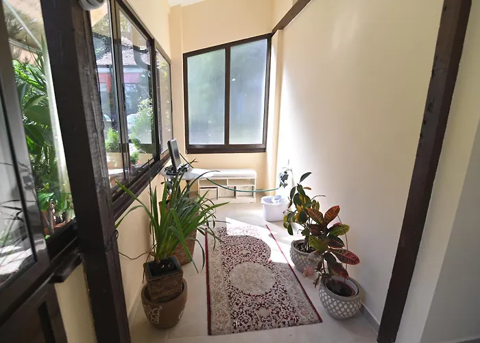 Botanical Hideout - Near Botanical Garden & Center Διαμέρισμα Βελιγράδι